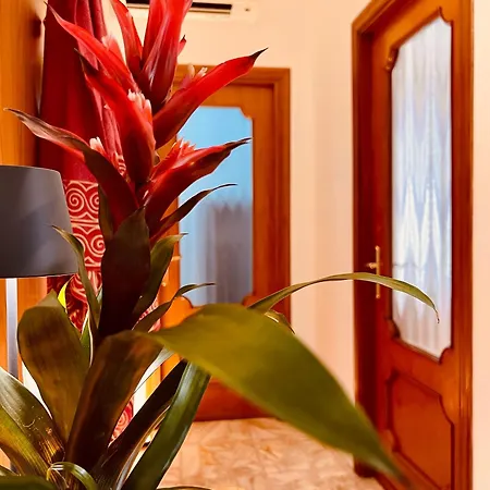 Appartement Sweet Vieste